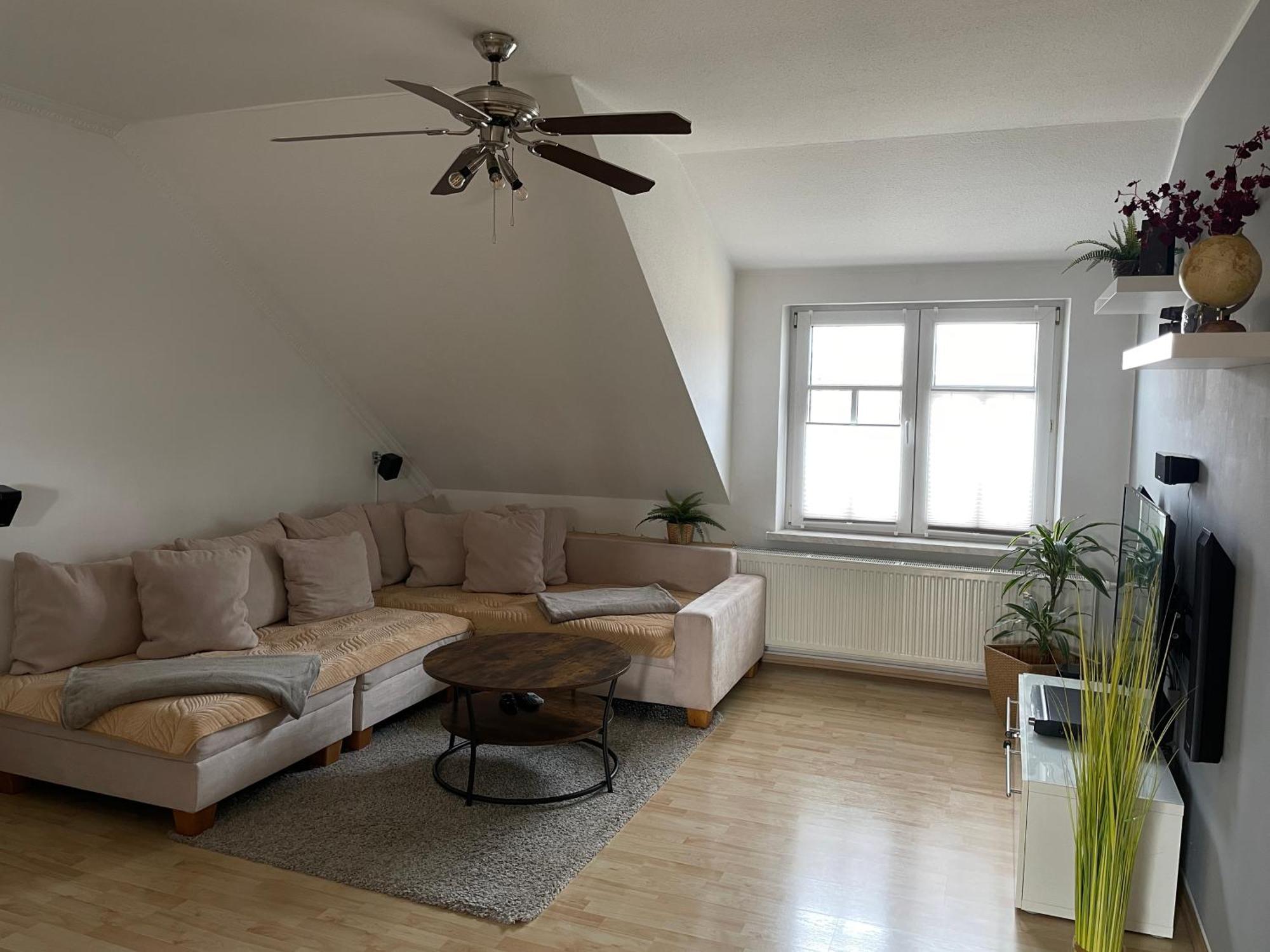 Bambus, Jungle, Dachterrasse & Bequem Bis Zentrum Radebeul Exteriör bild
